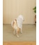 【CAT&DOG】ラージサイズレインポンチョ
