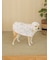 【CAT&DOG】ラージサイズレインポンチョ