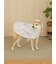 【CAT&DOG】ラージサイズレインポンチョ