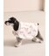 【CAT&DOG】ラージサイズレインポンチョ