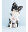 【CAT&DOG】【Birthday】バースデー柄プルオーバー