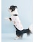 【CAT&DOG】【Birthday】バースデー柄プルオーバー