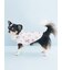 【CAT&DOG】【Birthday】バースデー柄プルオーバー
