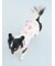 【CAT&DOG】【Birthday】バースデー柄プルオーバー