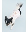 【CAT&DOG】【Birthday】バースデー柄プルオーバー