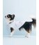 【CAT&DOG】【Birthday】スムーズィーカップケーキジャガードプルオーバー