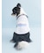【CAT&DOG】【Birthday】スムーズィーカップケーキジャガードプルオーバー
