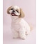 【CAT&DOG】【Birthday】スムーズィーカップケーキジャガードプルオーバー