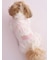 【CAT&DOG】【Birthday】スムーズィーカップケーキジャガードプルオーバー