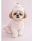 【CAT&DOG】【Birthday】スムーズィーカップケーキジャガードプルオーバー