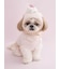 【CAT&DOG】【Birthday】スムーズィーカップケーキジャガードプルオーバー