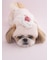 【CAT&DOG】【Birthday】スムーズィーカップケーキジャガードプルオーバー
