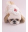 【CAT&DOG】【Birthday】スムーズィーカップケーキジャガードプルオーバー