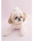 【CAT&DOG】【Birthday】スムーズィーカップケーキジャガードプルオーバー