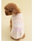 【CAT&DOG】【Birthday】スムーズィーカップケーキジャガードプルオーバー