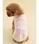 【CAT&DOG】【Birthday】スムーズィーカップケーキジャガードプルオーバー