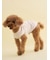 【CAT&DOG】【Birthday】スムーズィーカップケーキジャガードプルオーバー