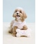 【CAT&DOG】【Birthday】スムーズィーカップケーキジャガードプルオーバー