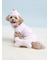 【CAT&DOG】【Birthday】スムーズィーカップケーキジャガードプルオーバー