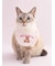 【CAT&DOG】【Birthday】スムーズィーバースデースタイ