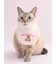 【CAT&DOG】【Birthday】スムーズィーバースデースタイ