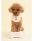 【CAT&DOG】【Birthday】スムーズィーバースデースタイ