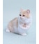 【CAT&DOG】【Birthday】スムーズィーバースデースタイ