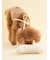 【CAT&DOG】【Birthday】ボーントイ