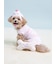 【CAT&DOG】【Birthday】ボーントイ