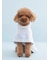 【CAT&DOG】【Birthday】スムーズィーケープ