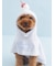 【CAT&DOG】【Birthday】スムーズィーケープ