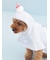 【CAT&DOG】【Birthday】スムーズィーケープ