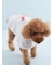 【CAT&DOG】【Birthday】スムーズィーケープ