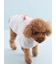 【CAT&DOG】【Birthday】スムーズィーケープ