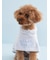 【CAT&DOG】【Birthday】スムーズィーケープ