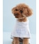 【CAT&DOG】【Birthday】スムーズィーケープ