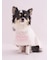 【CAT&DOG】【Birthday】スムーズィーケープ