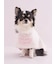 【CAT&DOG】【Birthday】スムーズィーケープ