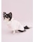 【CAT&DOG】【Birthday】スムーズィーケープ