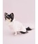 【CAT&DOG】【Birthday】スムーズィーケープ