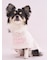 【CAT&DOG】【Birthday】スムーズィーケープ