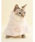 【CAT&DOG】【Birthday】スムーズィーケープ