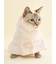 【CAT&DOG】【Birthday】スムーズィーケープ