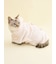 【CAT&DOG】【Birthday】スムーズィーケープ