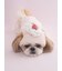 【CAT&DOG】【Birthday】カップケーキハット