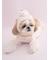 【CAT&DOG】【Birthday】カップケーキハット