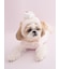 【CAT&DOG】【Birthday】カップケーキハット