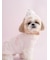 【CAT&DOG】【Birthday】カップケーキハット