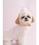 【CAT&DOG】【Birthday】カップケーキハット