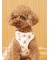 【CAT&DOG】背中あきハーネス
